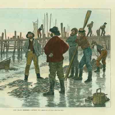 George Nama Collection