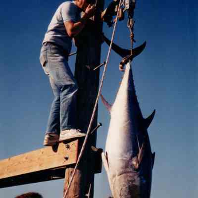 Julie Evans and Mike Brumm Fishing Photographs