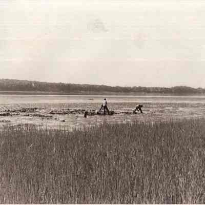 A photo view of two clam diggers. 9/22/1980.