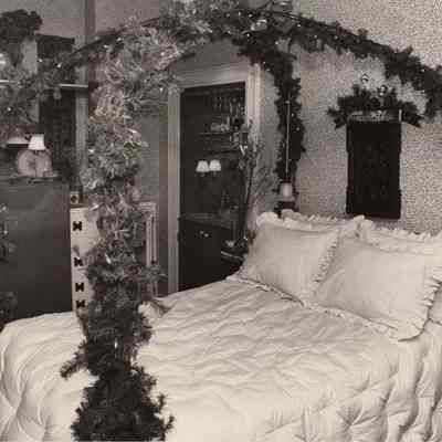 A photo view of Carlene Griffin's home.