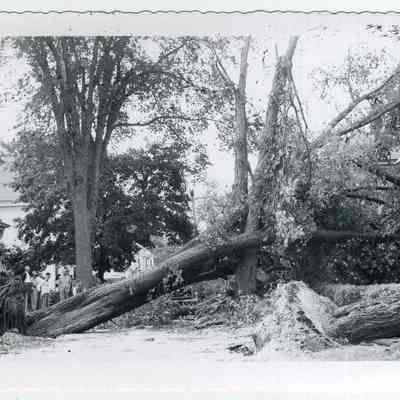 Hurricane Damage