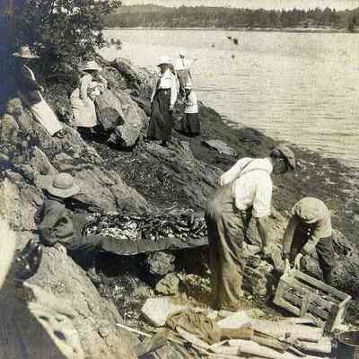 People Getting Ready for a Clam Bake