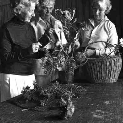 A negative view of the pre flower show, Harpswell. 8/30/1981.