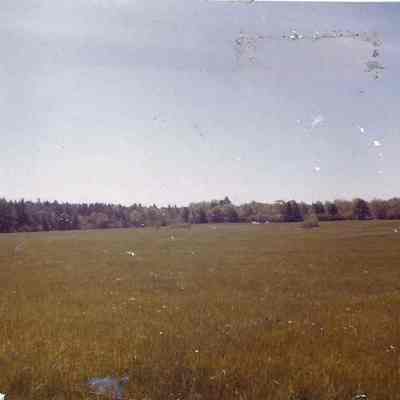 Thomas Point Beach
