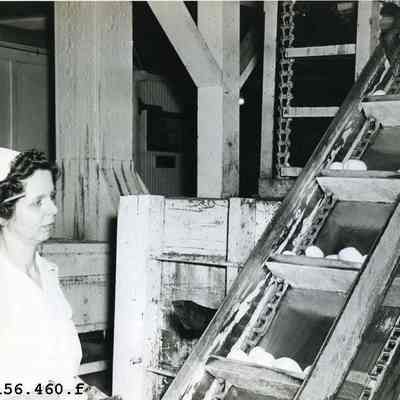 Baxter Canning Company, Hartland, Maine