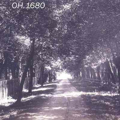 Woodlawn Road