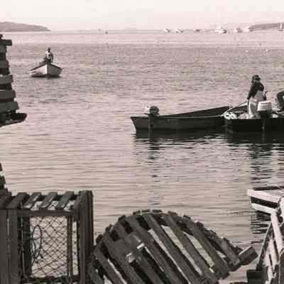 A photo view of a Harpswell scene. 8/30/1981.