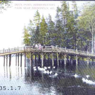 Duck Pond at Merrymeeting Park.