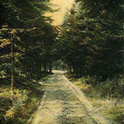 Stover's Lane, West Harpswell, Maine