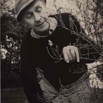 A photo view of Harvey Howells. 11/29/1979.