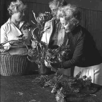 A negative view of the pre flower show in Harpswell. 8/30/1981.