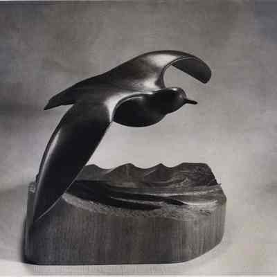 A photo view of a carving of a killdeer done by Harry Tyler.
