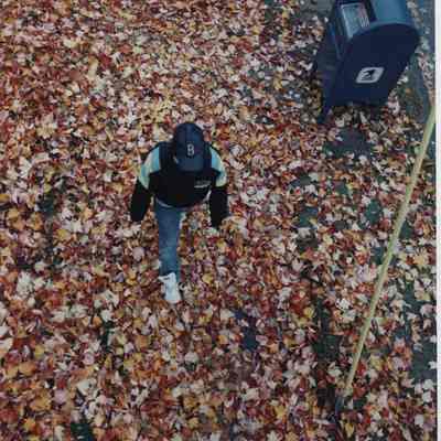 A photo view of a boy playing in leaves. 11/01/1989.