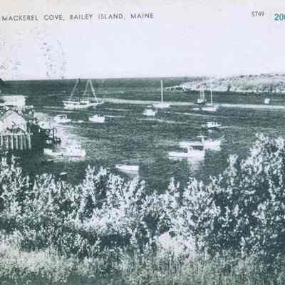 Mackerel Cove