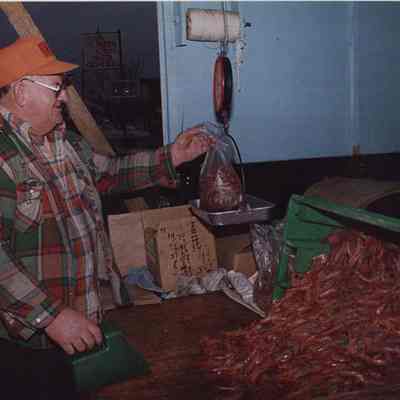 A photo view of a man selling shrimp. 2/23/1988.