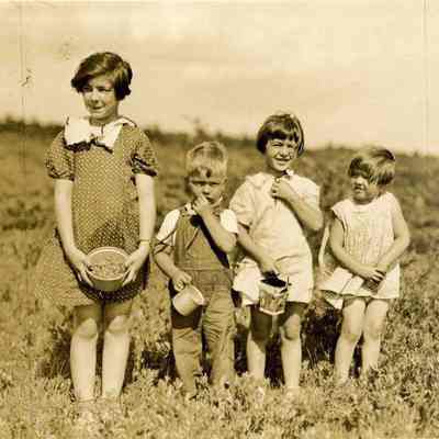 Children Picking Blueberries