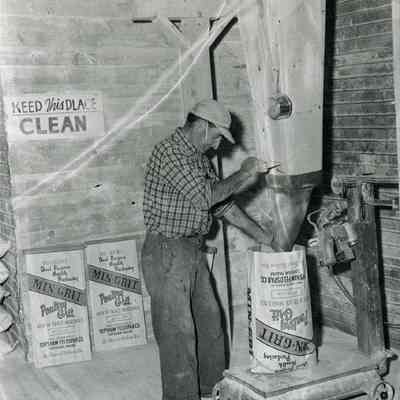 A photo of men filling bags with poultry grit. 1955.