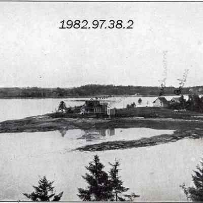 A picture postcard of Birch Island, Maine, Johnson's Point.