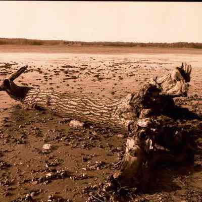 A photo view of scenes from Simpson's Point. 11/21/1984.