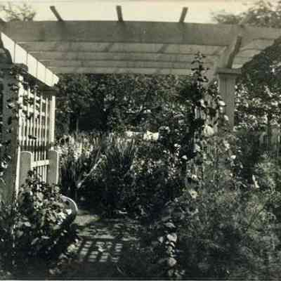 Prudy Morrell's Garden
