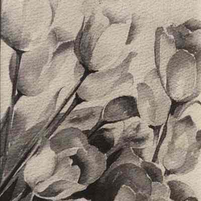 A photo view of a watercolor painting by Liz Messler. 2/27/1992.