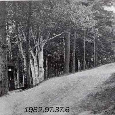 A picture postcard of the road to Brunswick in front of the Gurnet House.