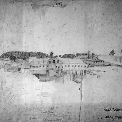 Shad Island