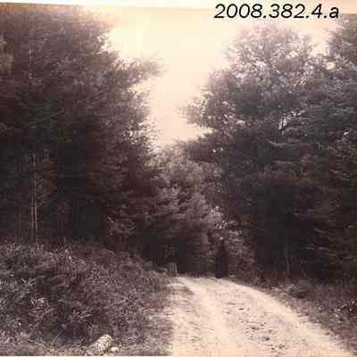 Road on Great island