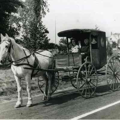 John Allen in a Horse and Carriage