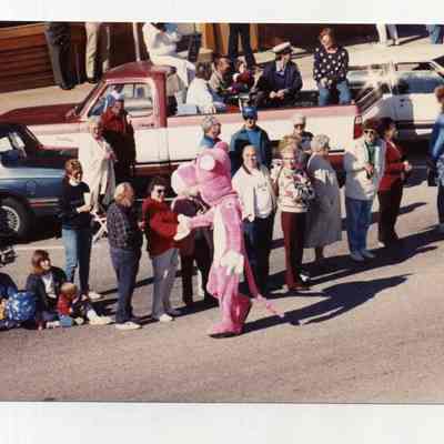 Brunswick's 250th anniversary parade