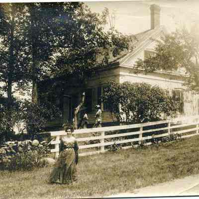 Boarder at the Stover Homestead