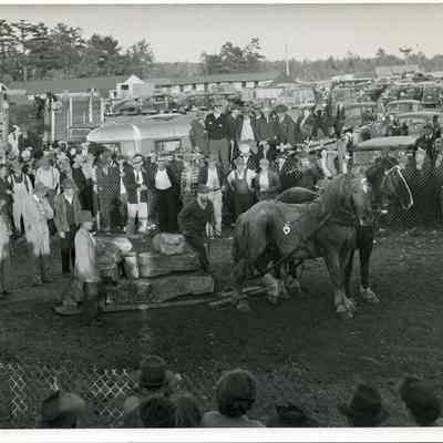 Horse Pull