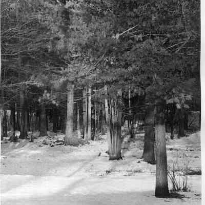 Linnhaven Park.