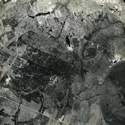 An aerial photo of outer pleasant Street. 5/4/1953.