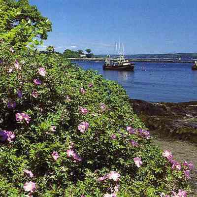 Cundy's Harbor