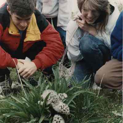 A photo view of children looking at baby chicks. 6/09/1989.