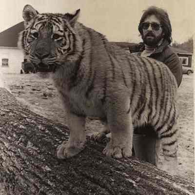 Allen Gold and tiger