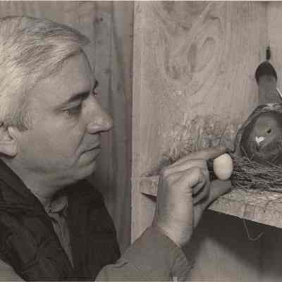 A photo view of Dr. Mike McNally and a pigeon. 11/30/1992.