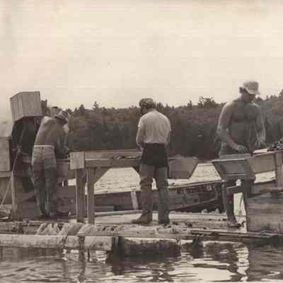 Men sorting mussels.