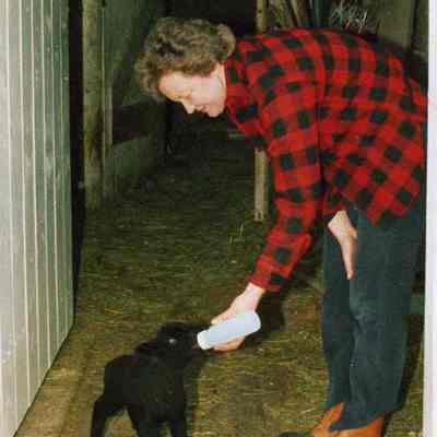 Unknown woman, lamb