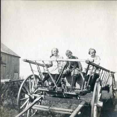 "Hay seeds" (Three children on a hay wagon)