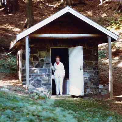 Pine Spring Water Co.