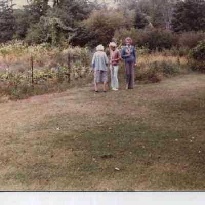 Garden at the Stevens Home
