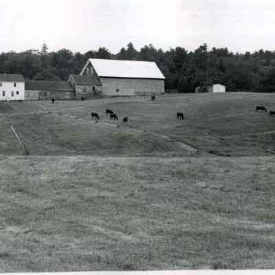 A farm house on the White House Crossing road. 7/1980