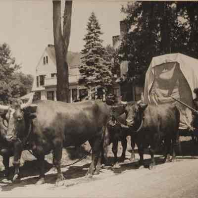 Covered Wagon