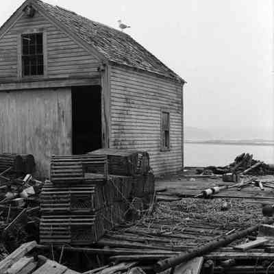 A photo view of scenic Harpswell.
