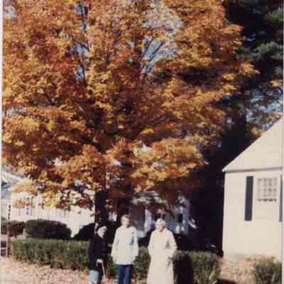 Three Women Amongst the Leaves