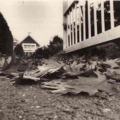 A photo view of the Stowe House. 11/1/1992.