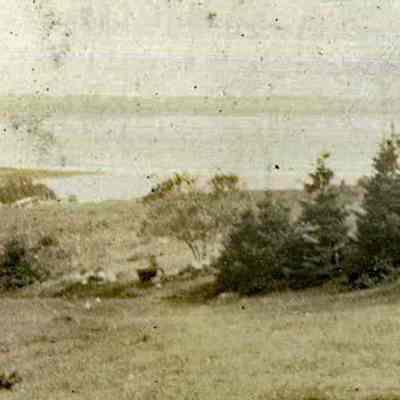 Shore Line