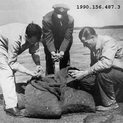 Quahogs being checked
